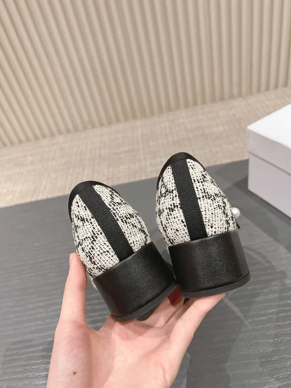 Dior Shoe 